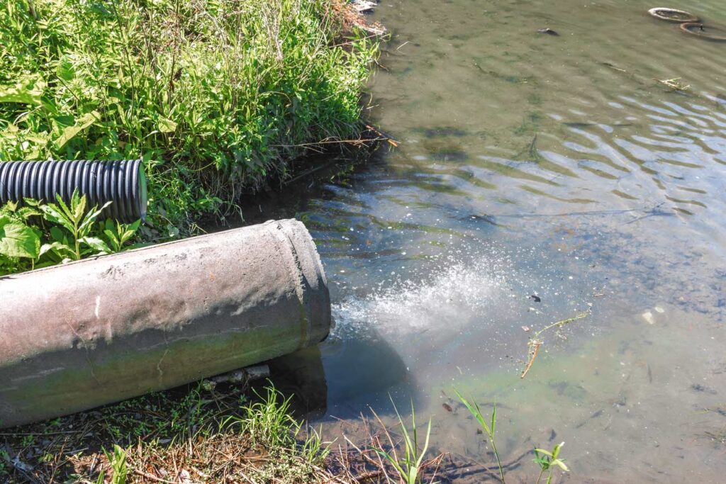 Sewage spills southend